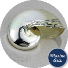 8265-P16 - Pearl Nautilus - Silver Edge